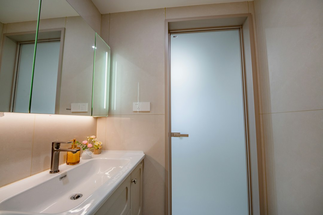 Aluminium bathroom door with frosted glass