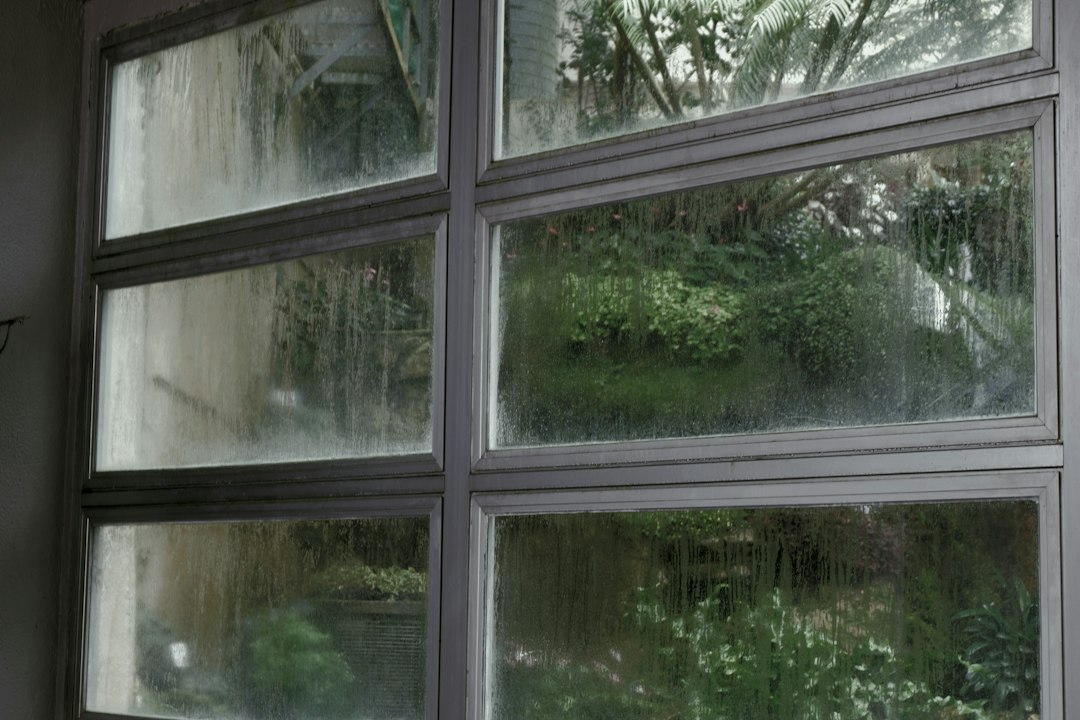Rain on a domal window during the monsoon